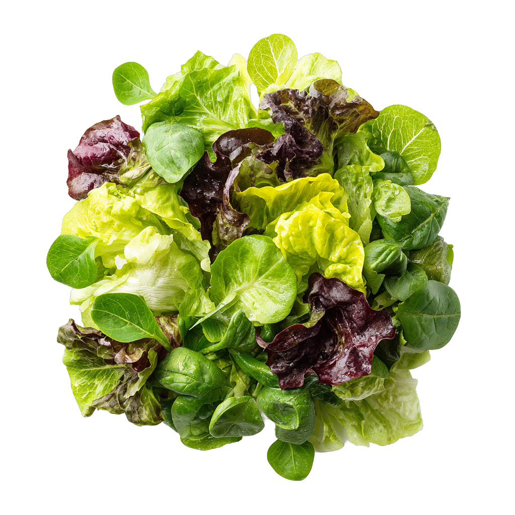 Spring Mix Greens